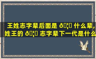王姓志字辈后面是 🦁 什么辈,姓王的 🦁 志字辈下一代是什么辈